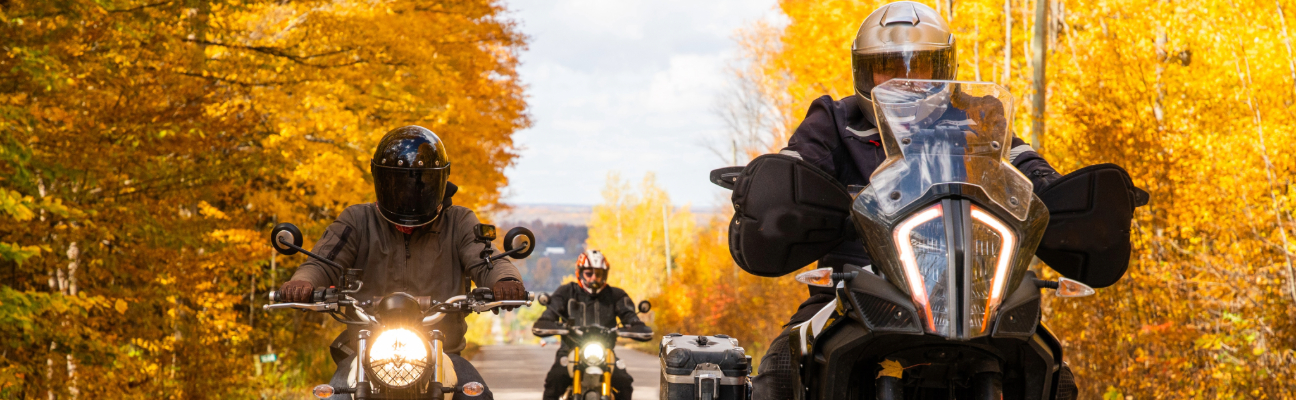 3 motorcyclists on road riding in the fall